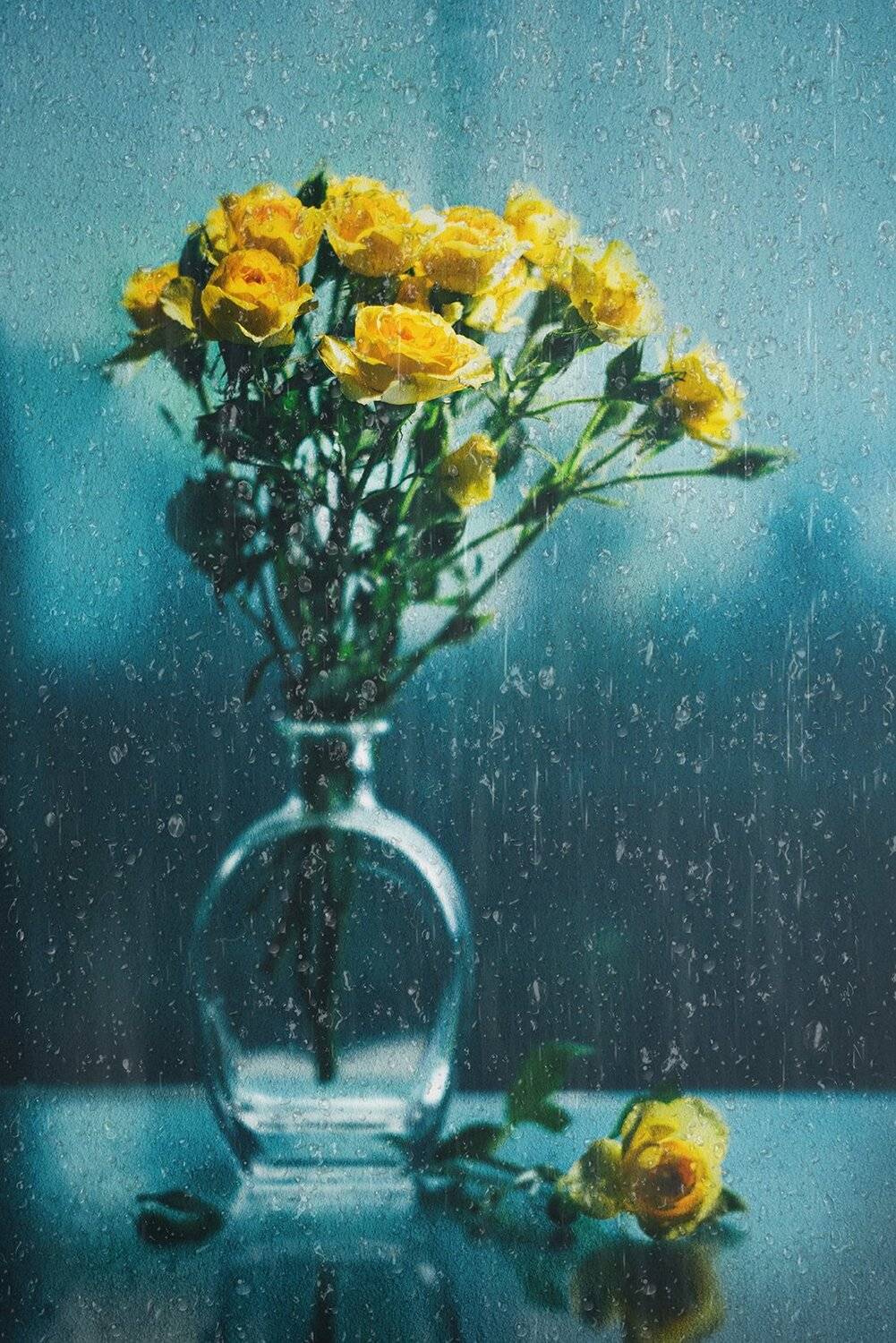 , MVO (Марк Орлов)