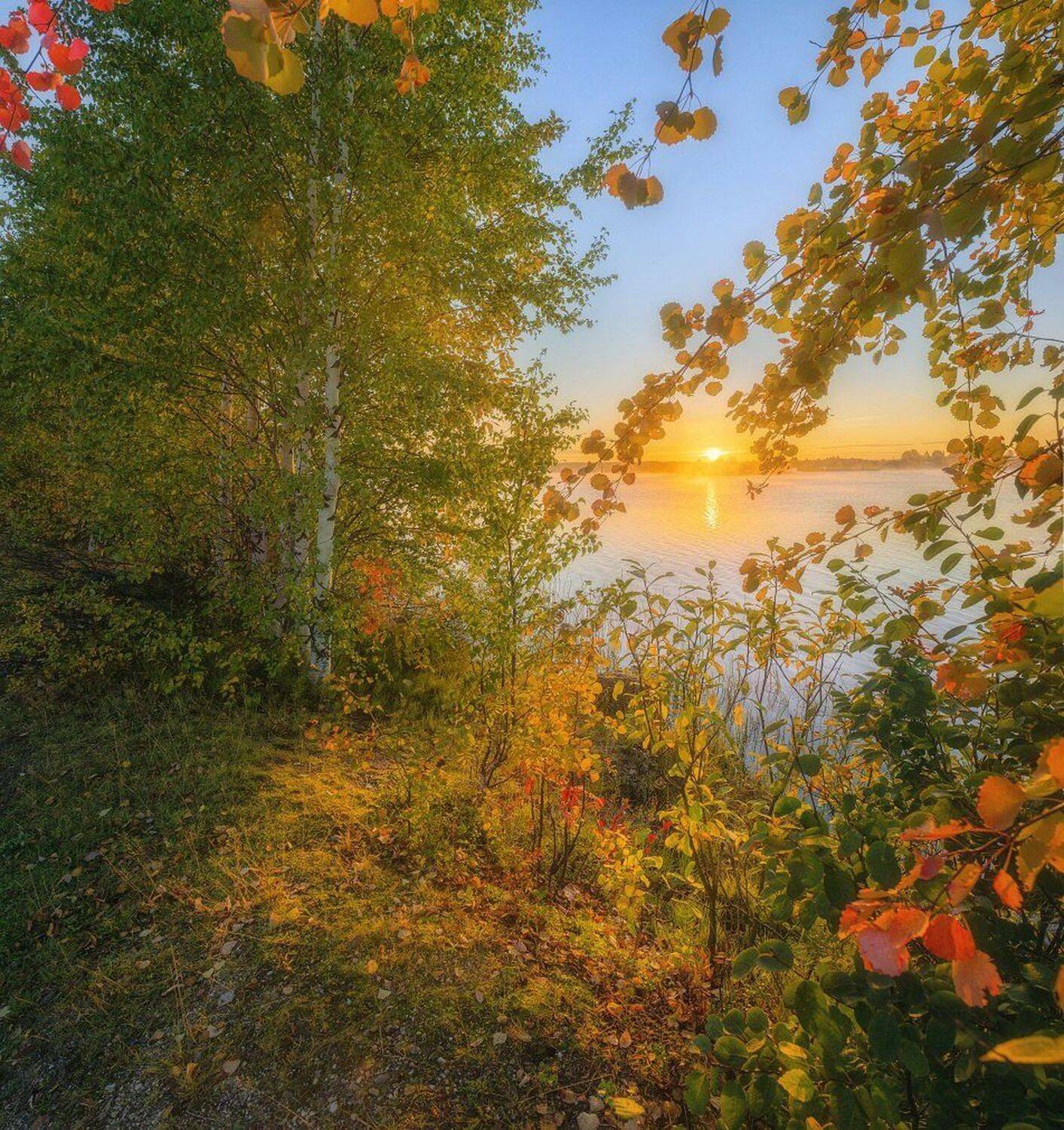 , Устюжанин Михаил