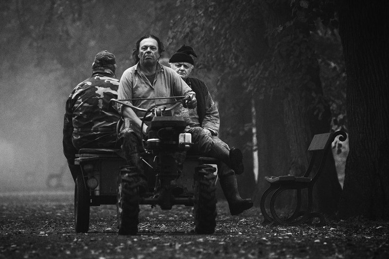 Morning in the Park фото превью