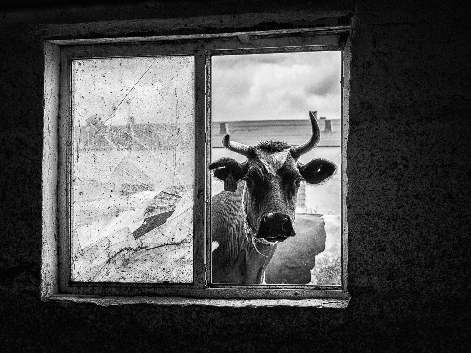 , Андрей Поляков