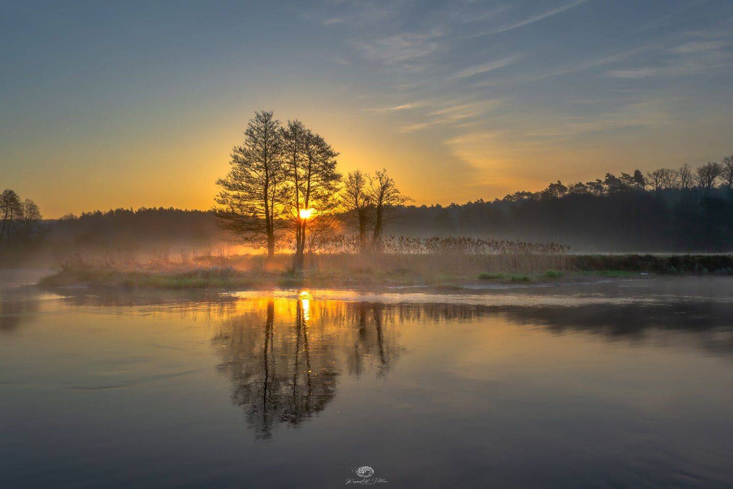 landscape, nature, fog, dawn, sunrise, sun, nikon, water, reflection, river, Gwda, forest, trees, islet, light, Krzysztof Tollas