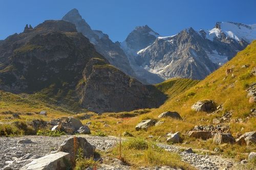 Зеленая гостиница