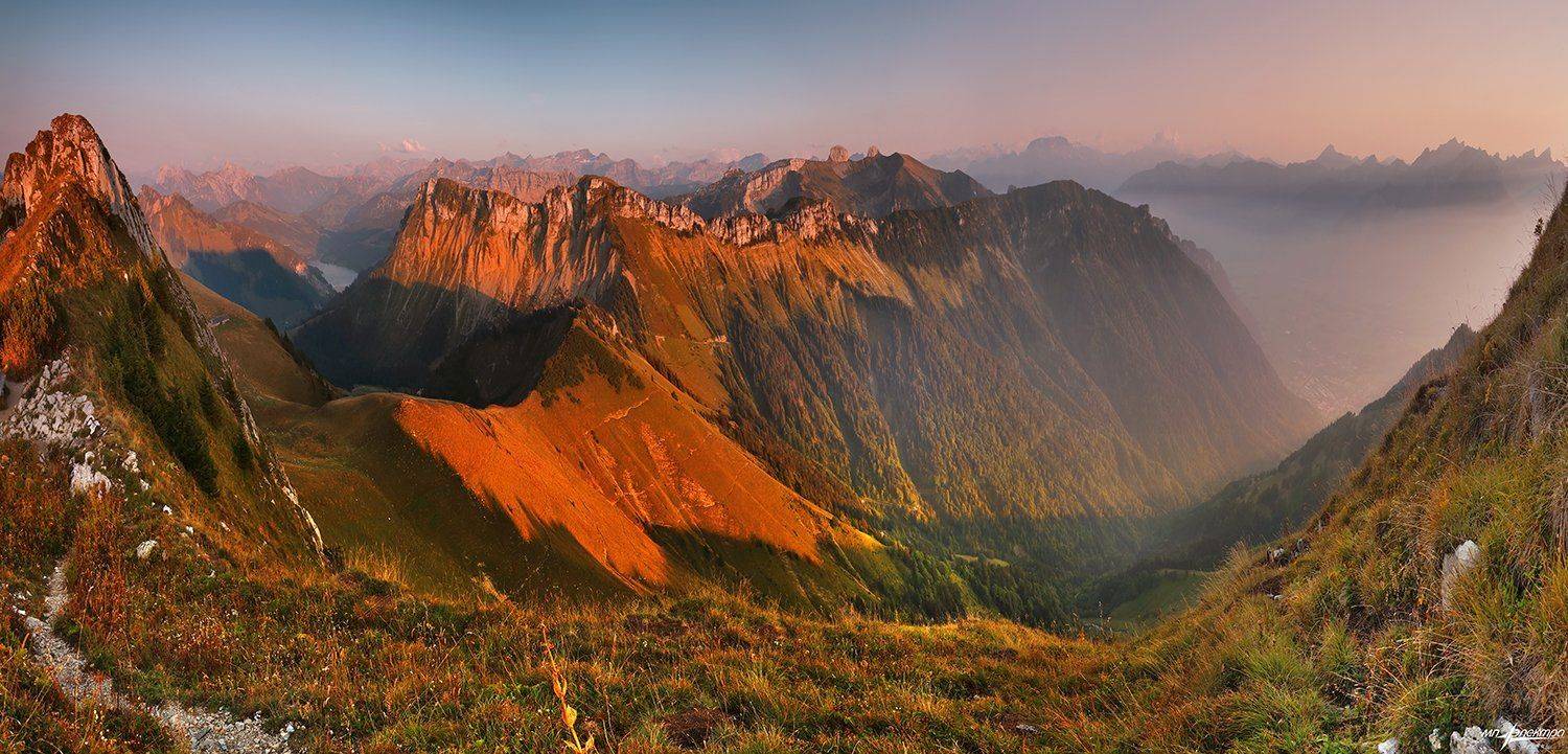 swiss, Матвеев Николай