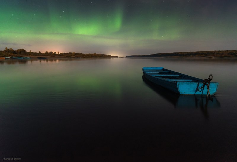 Скользя по водной глади фото превью