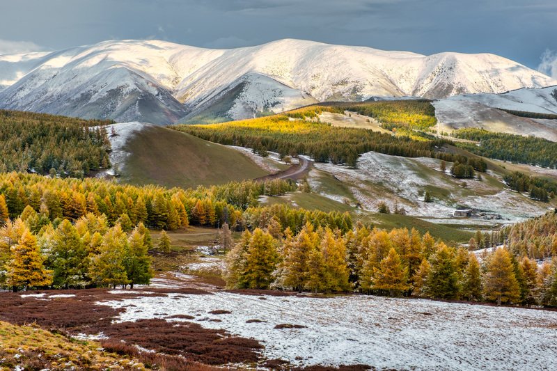 Между осенью и зимой... фото превью