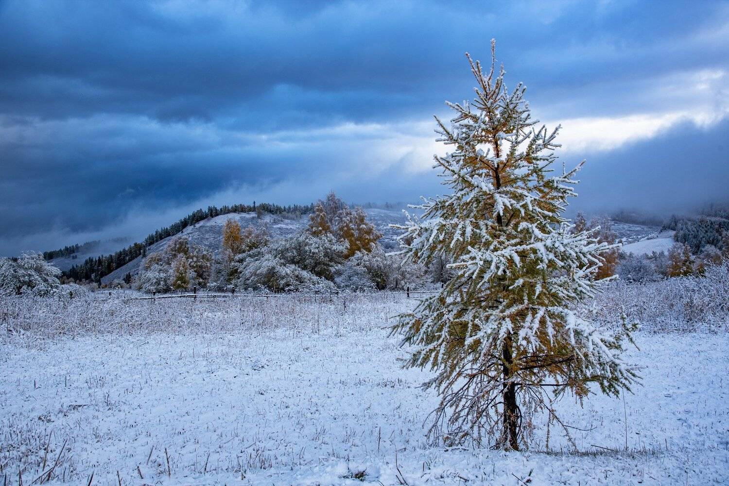 алтай. осень. горы., Евгений Дроботенко