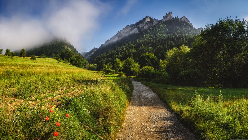 #landscape #panoramic #photo #nikon #poland #adventure #sunrise #mountains  #nature #travel Mountain Trail фото превью
