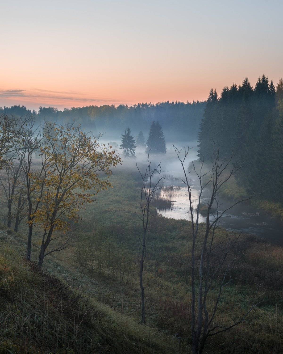 ленинградская область, лемовжа, Роман Фабричный