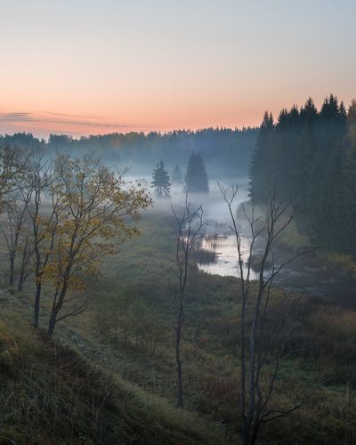 На заре