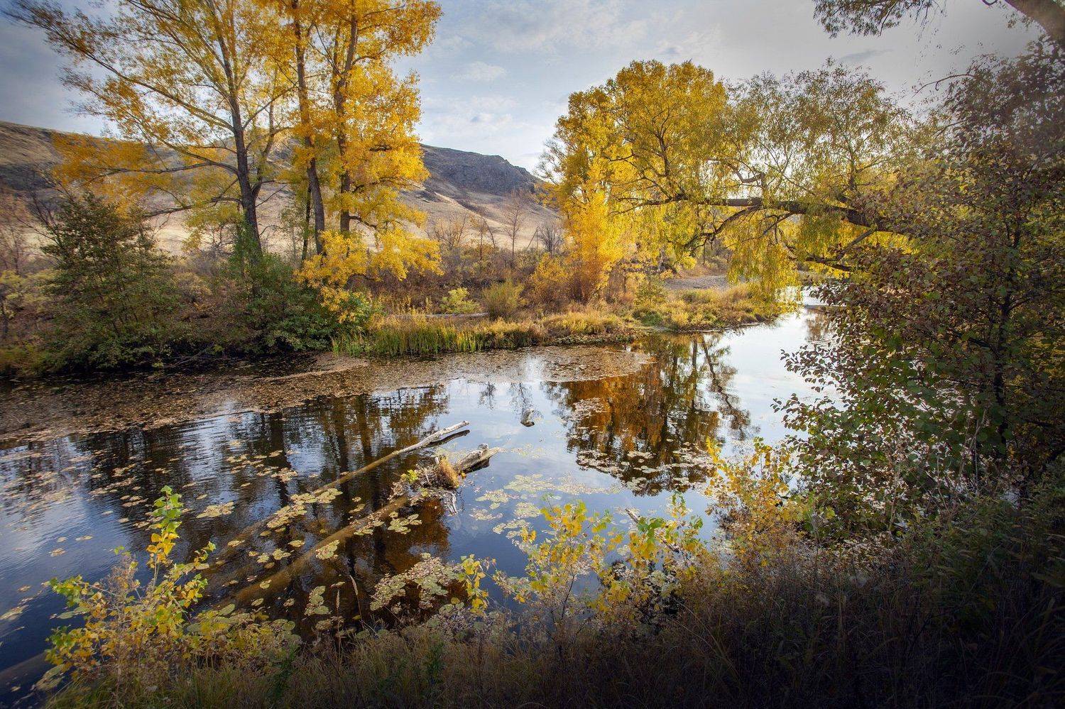 , петр чиков