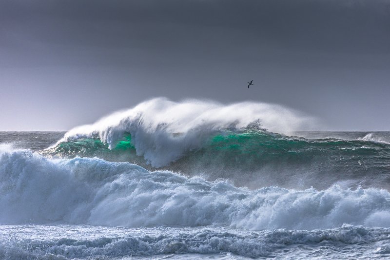 Emerald waves фото превью