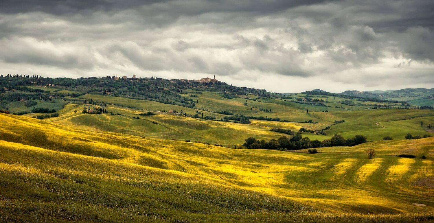 поле, луга, Александр Безмолитвенный