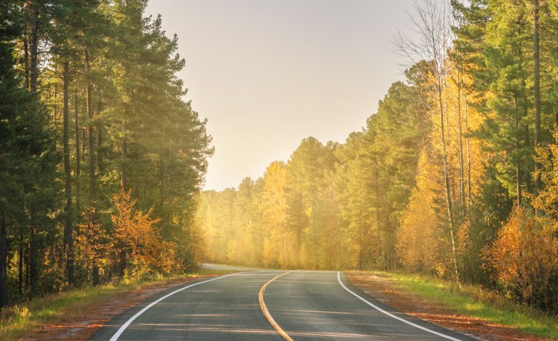 Autumn road фото превью