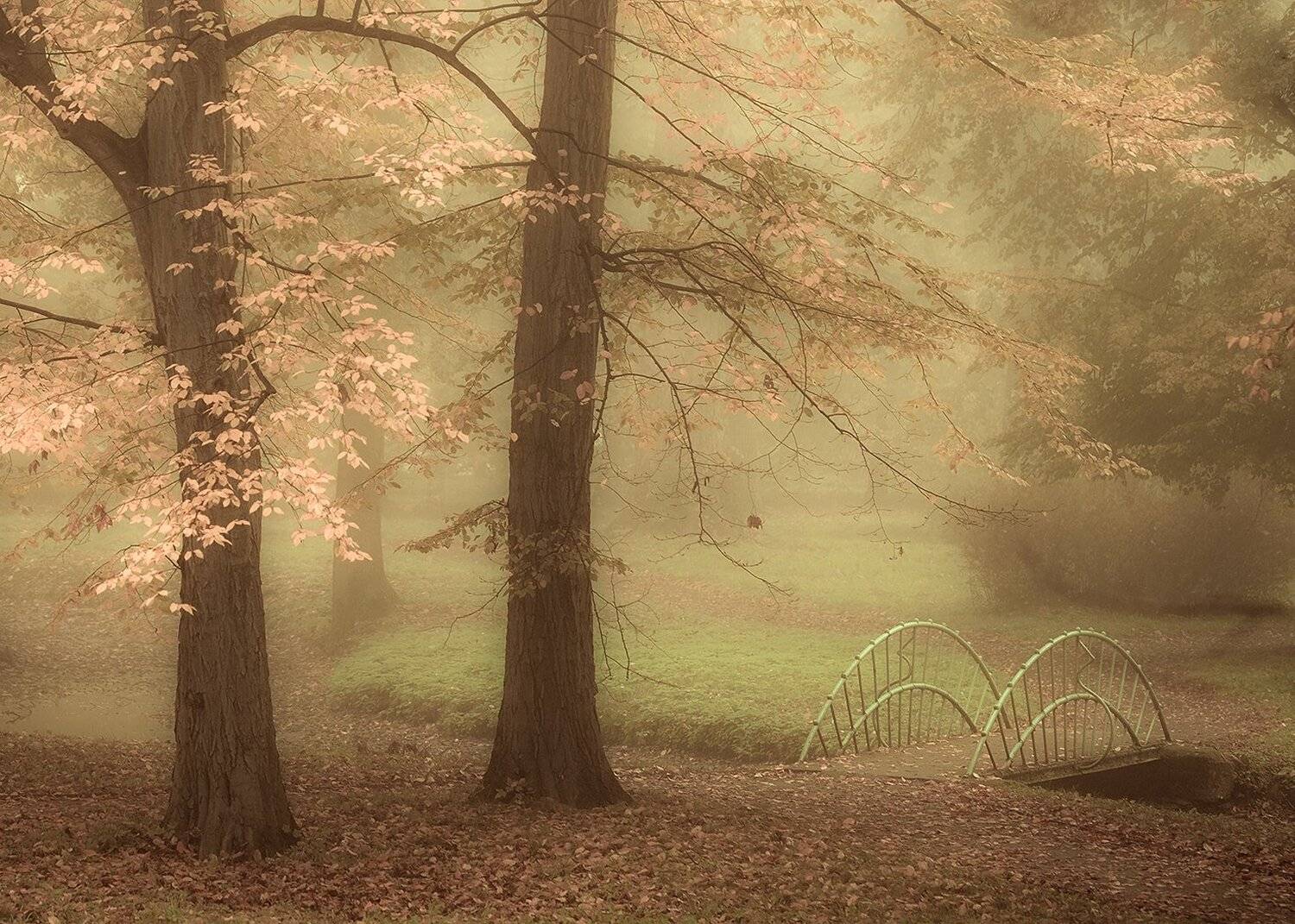 , Robert Adamec