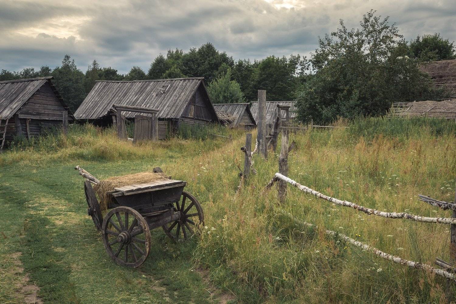 псковская, область, Александр Писарев