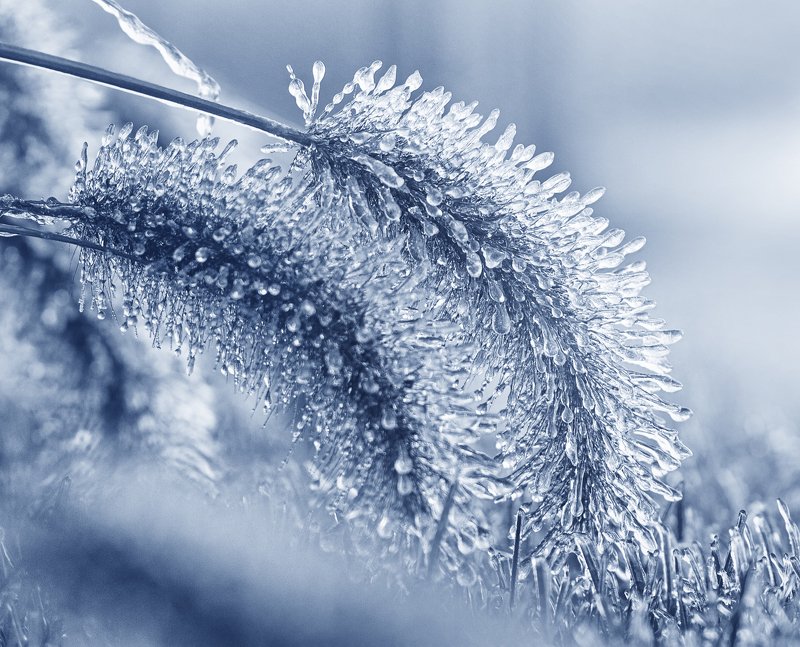 2 фото превью