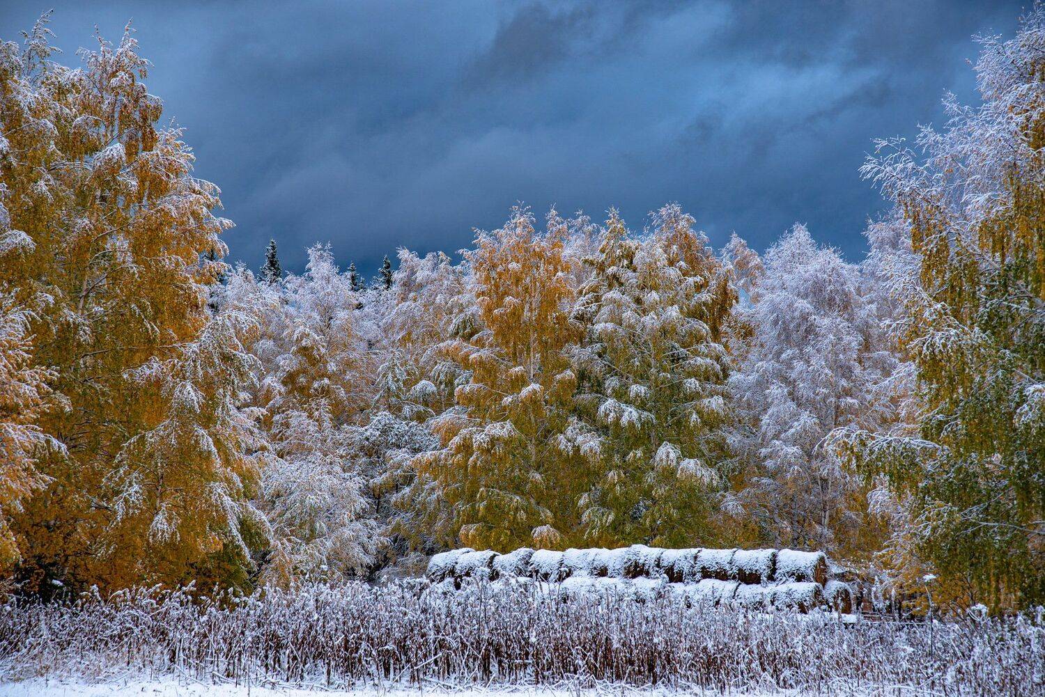 алтай. осень. горы., Евгений Дроботенко