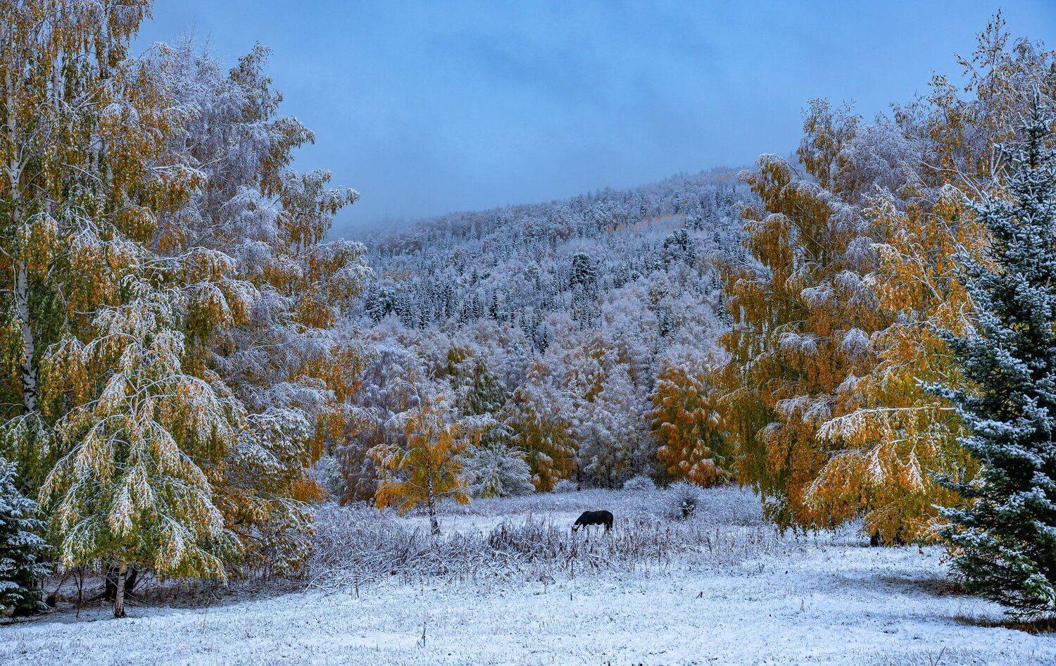 алтай. осень. горы., Евгений Дроботенко
