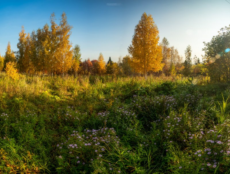 Утро фото превью