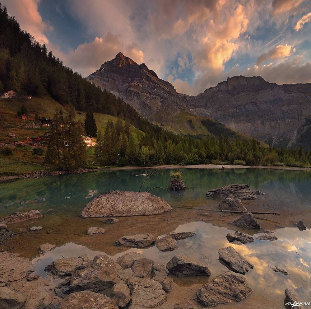 swiss, Матвеев Николай