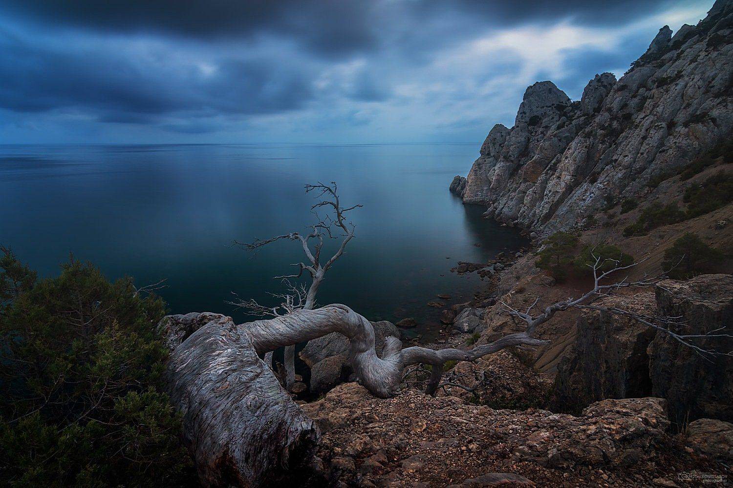 , Антон Кошетаров