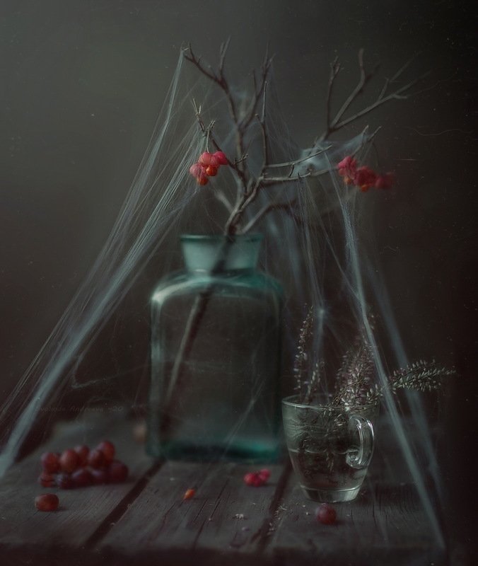 web* фото превью