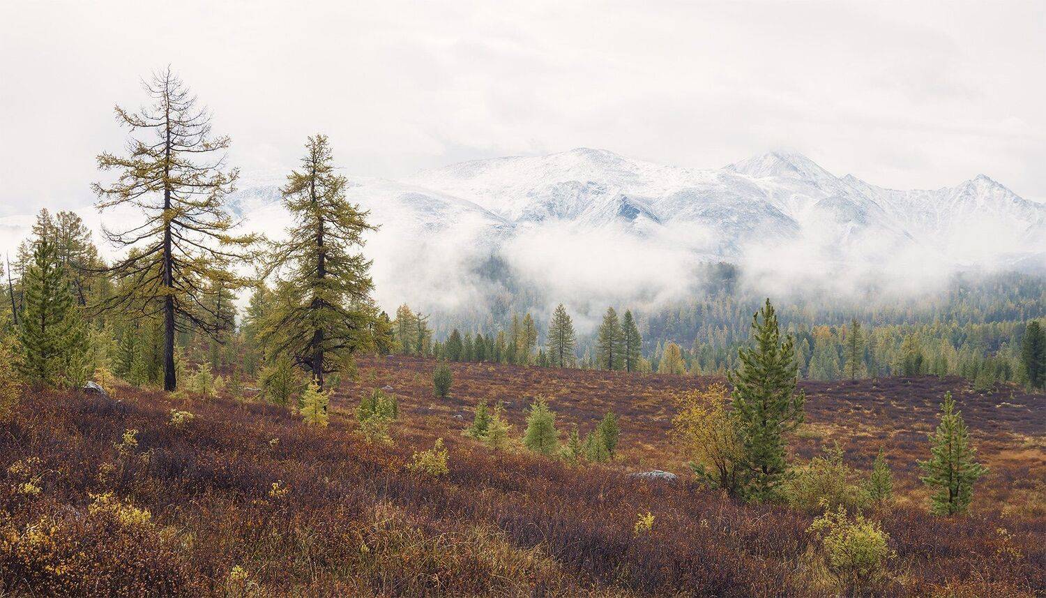 , Лещёнок Александр