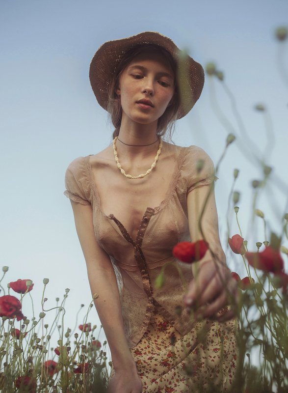 Цветок фото превью