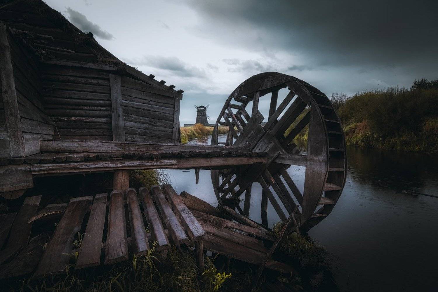 кинодеревня, псков, Майя Афзаал