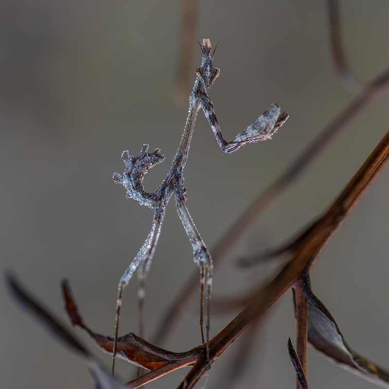 War of the Worlds фото превью