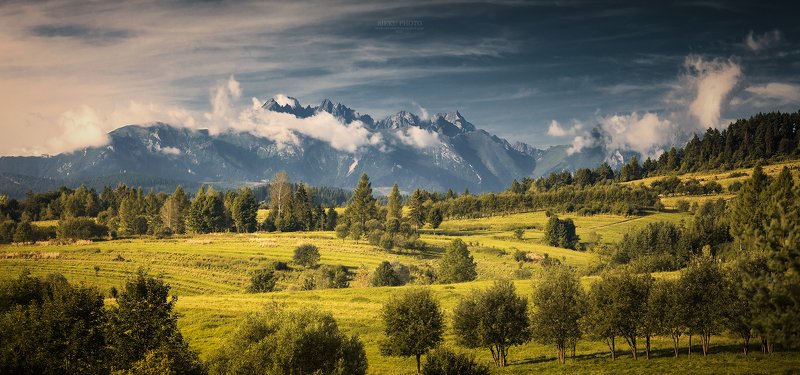 фото превью