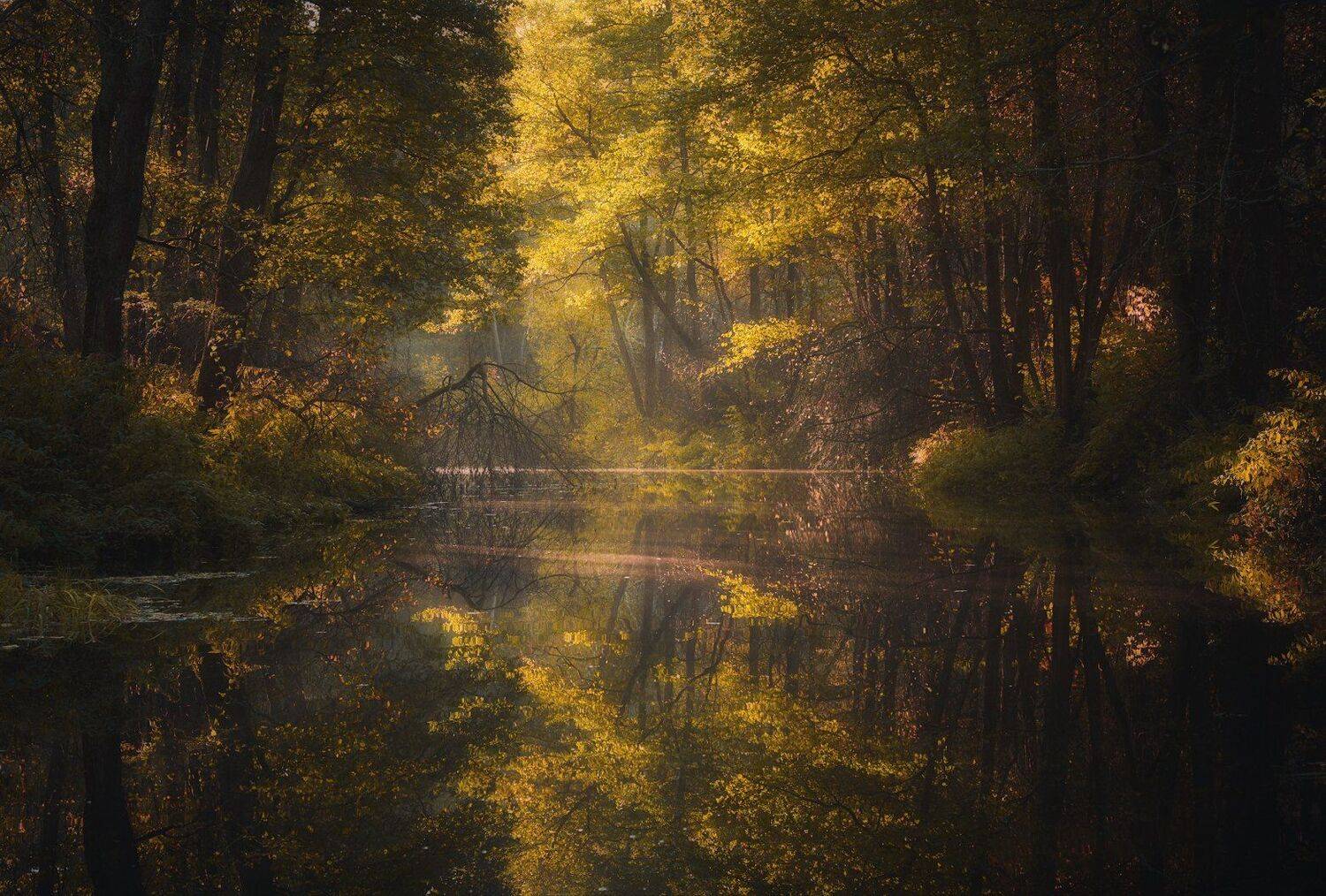 , Виталий Левыкин