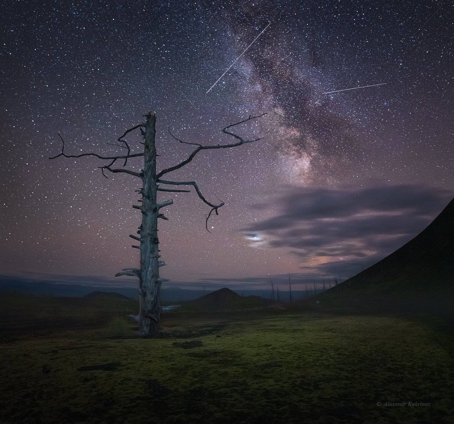 камчатка, мёртвый лес, ночь, звёзды, пейзаж, Александр Кукринов