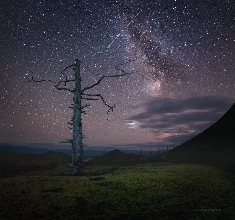 камчатка, мёртвый лес, ночь, звёзды, пейзаж Ночь в Мёртвом лесу... фото превью