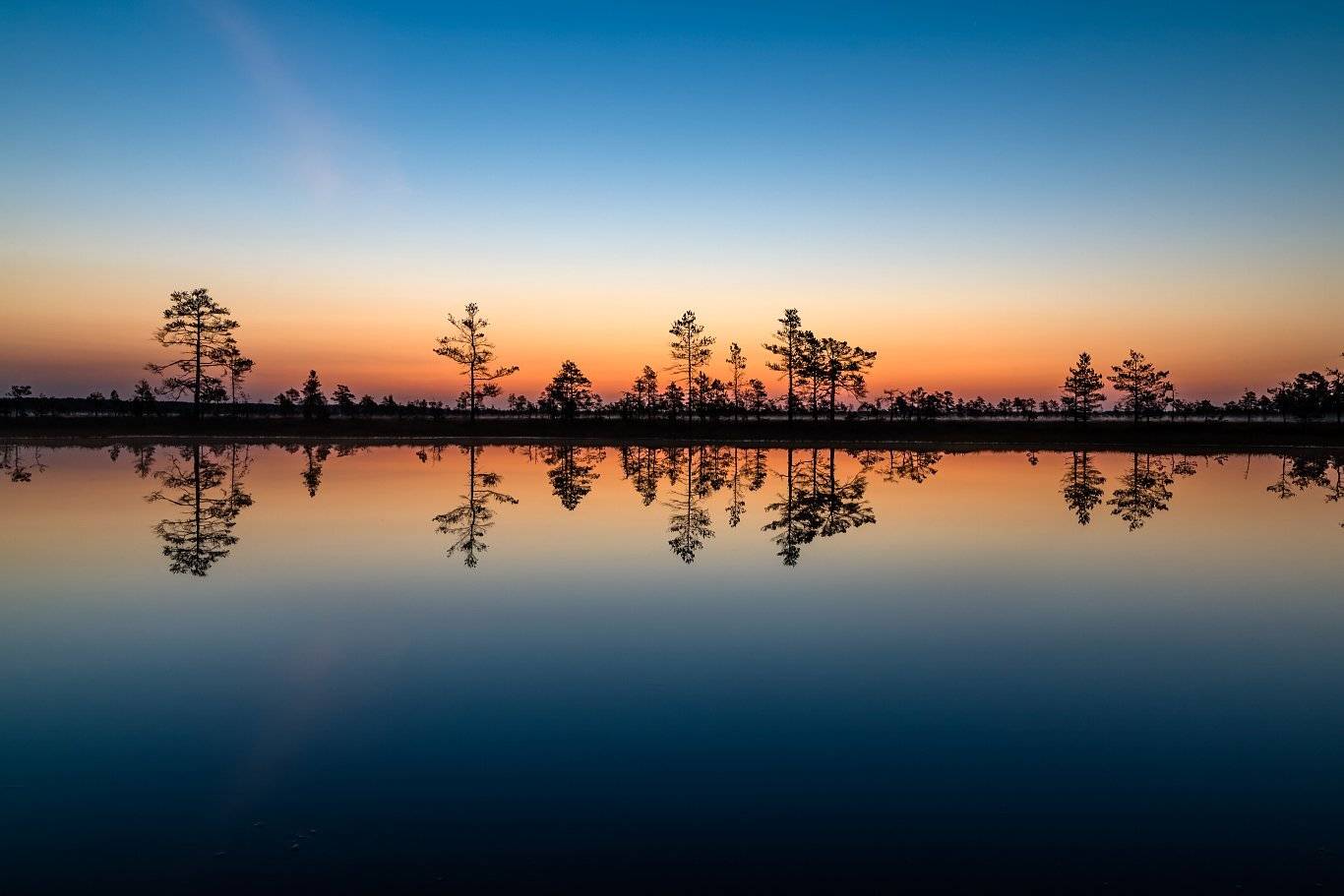 , Александр Абросимов