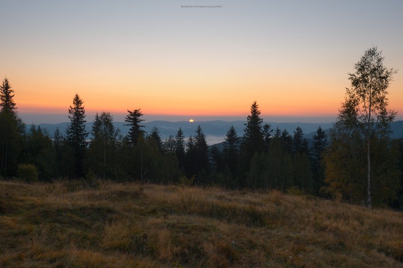 рассвет, карпаты, лес, природа, горы, осень Встречая рассвет фото превью