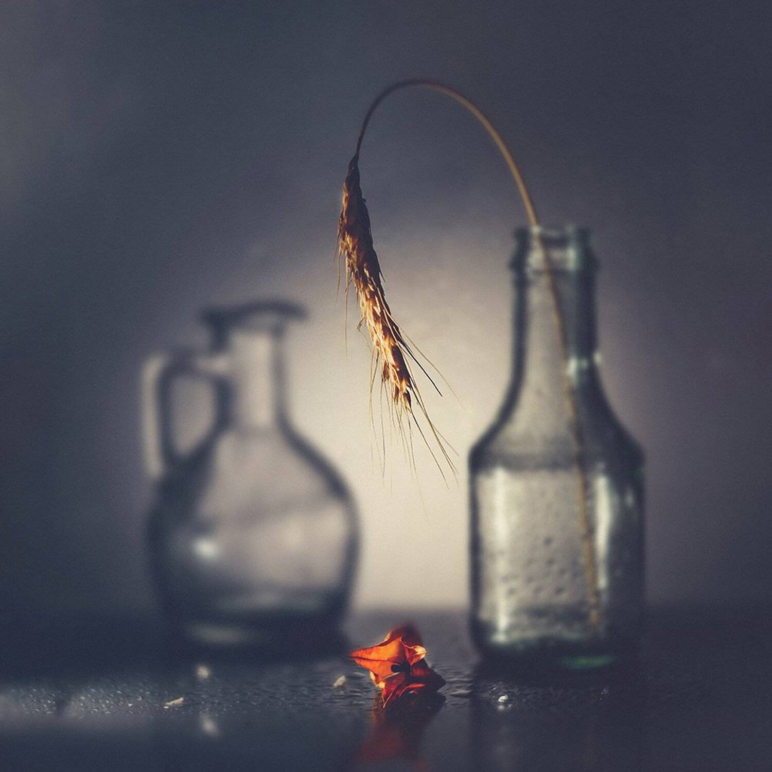 , MVO (Марк Орлов)