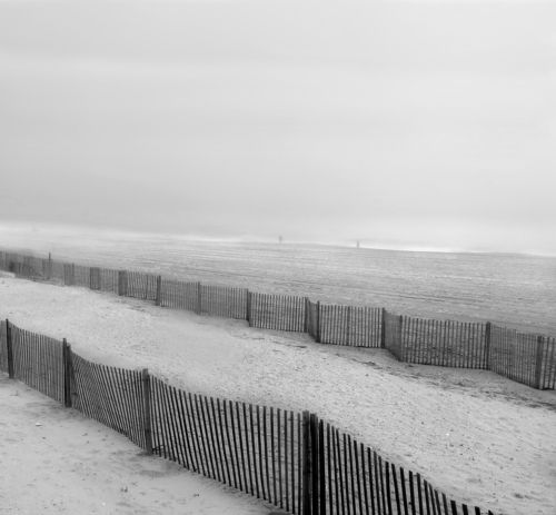 Foggy Morning