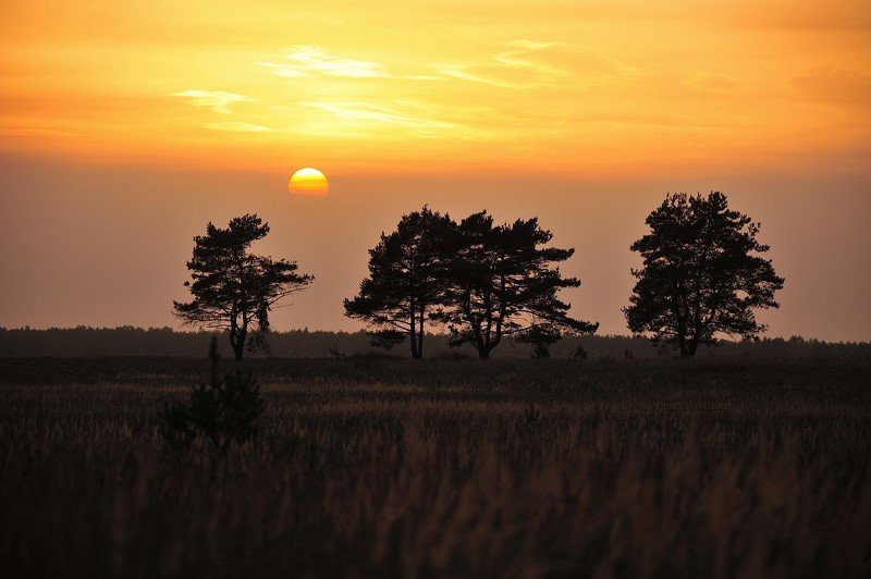 пейзаж, природа, солнце, закат, луна, полная луна Изменчивый пейзаж! фото превью