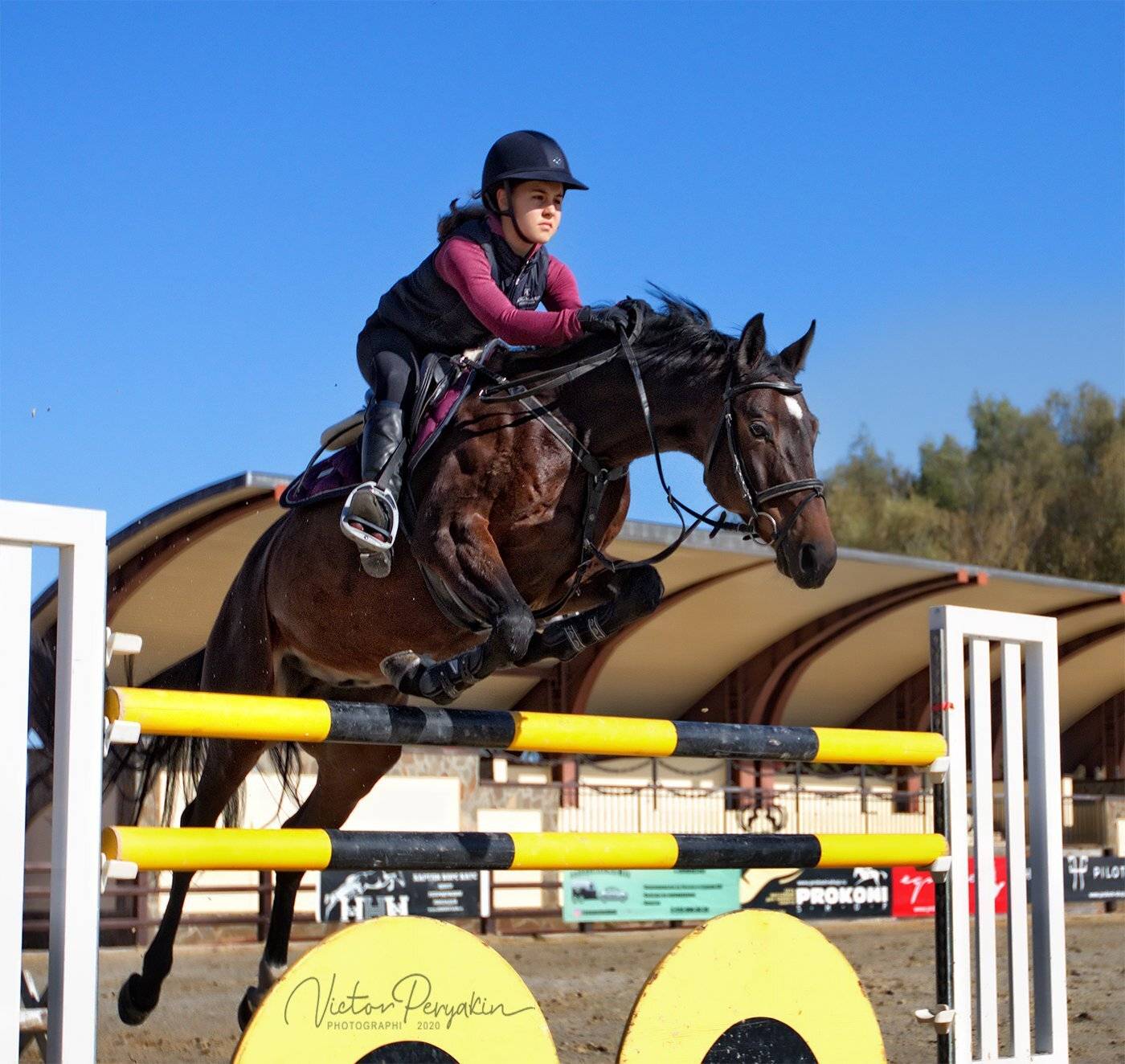 , Виктор Перякин