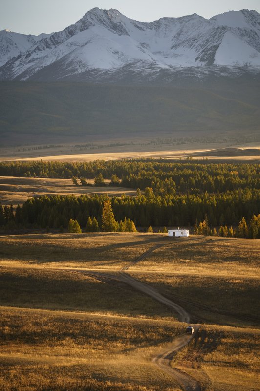 Одиночество в степи фото превью