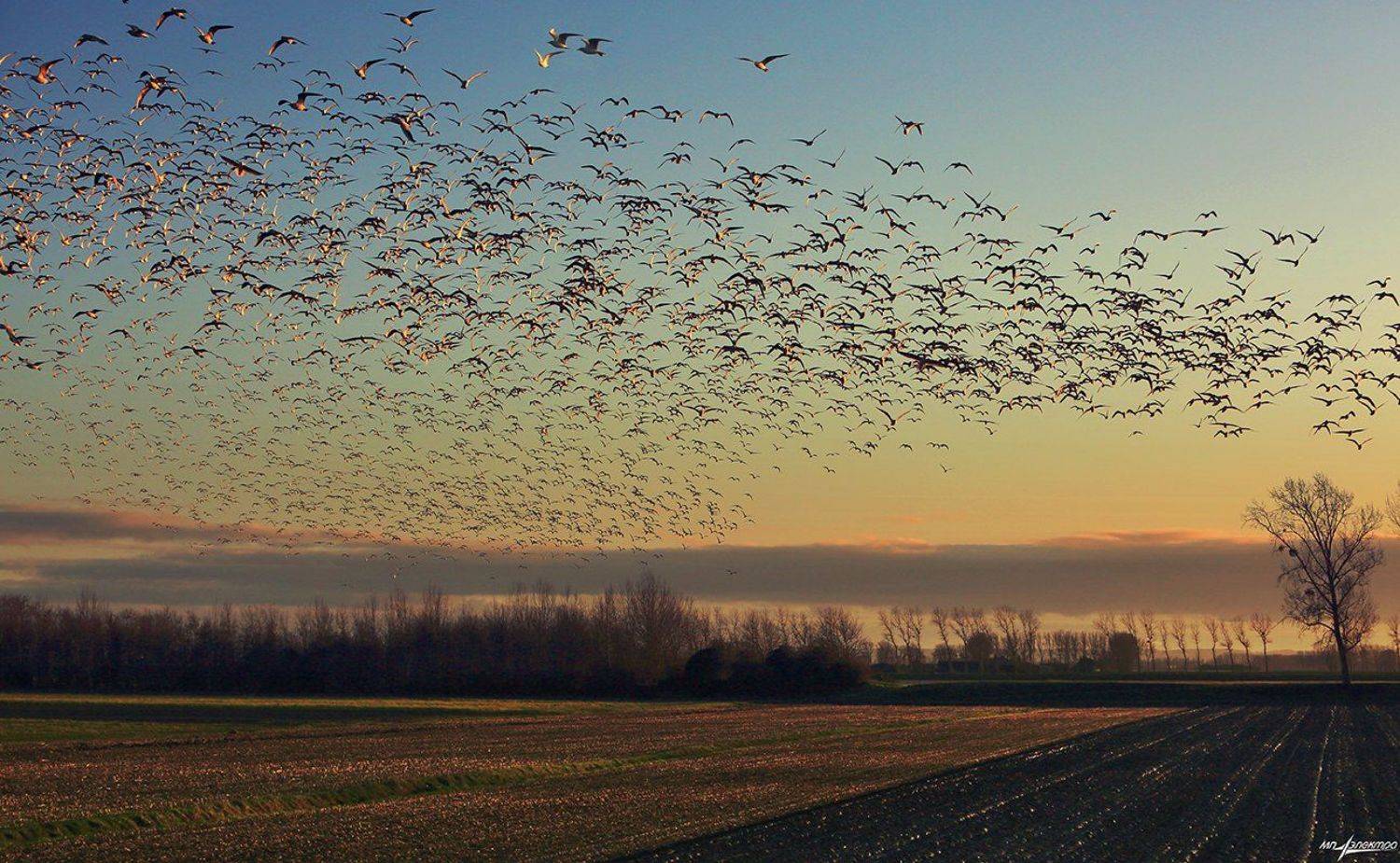 франция,mont saint-michel,france, Матвеев Николай