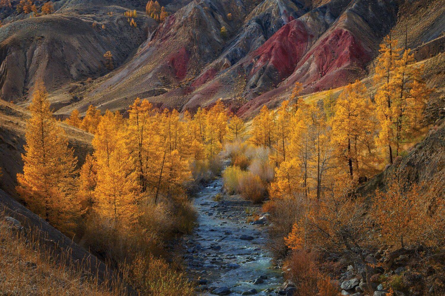 Фототуры с Владимиром Рябковым, Алтай, алтайский Марс,#topnature #russpasibo #magic_shots #lovelyRussia #sunset_vision #exclusive_sky  #exclusive_shots #loves_russia2 #photoarena_nature #nature_sultans #nature_perfection #rsa_sky #rsa_sunset #photorussia , Владимир Рябков