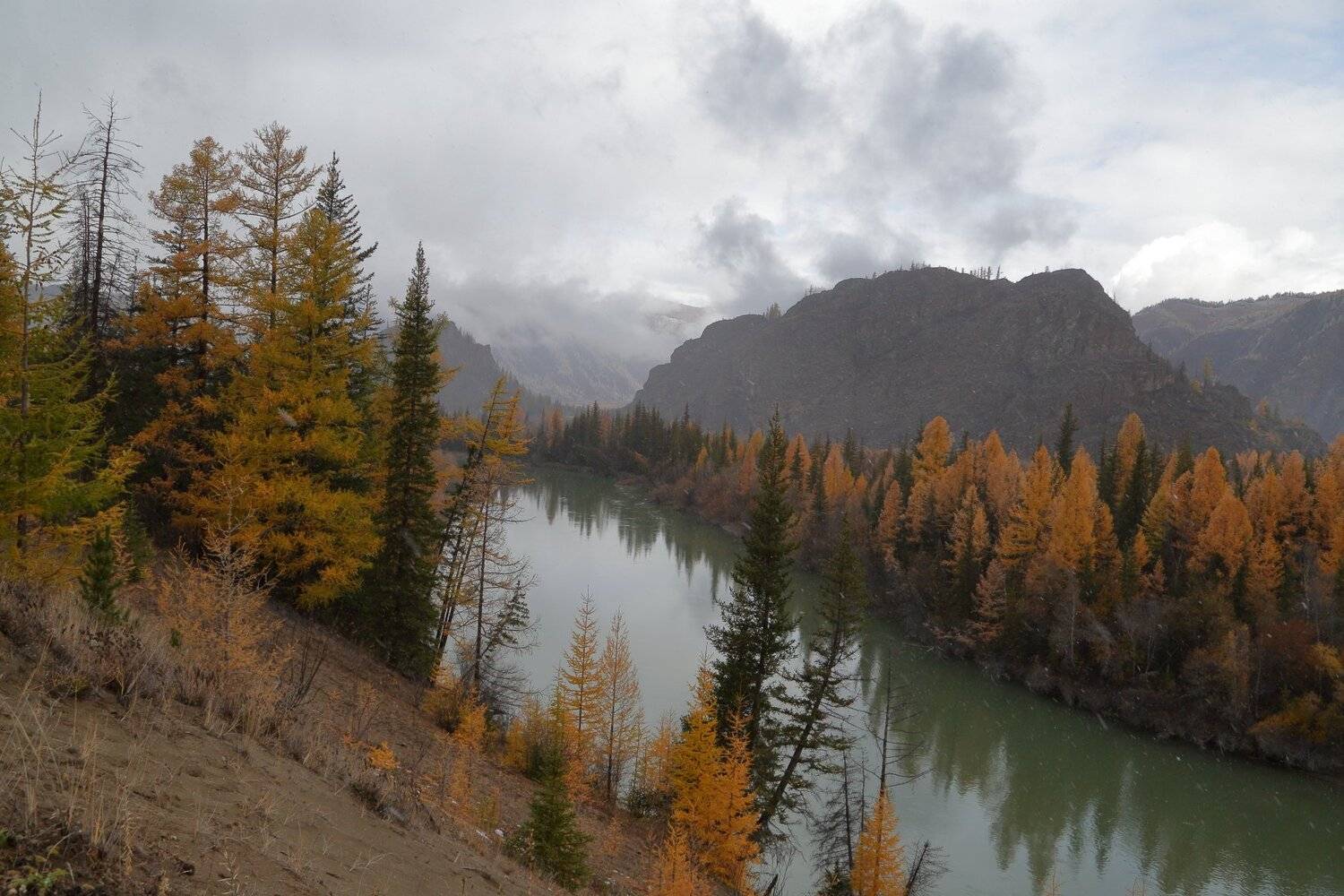 , Евгений Зинов