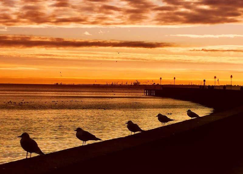 Social distancing фото превью