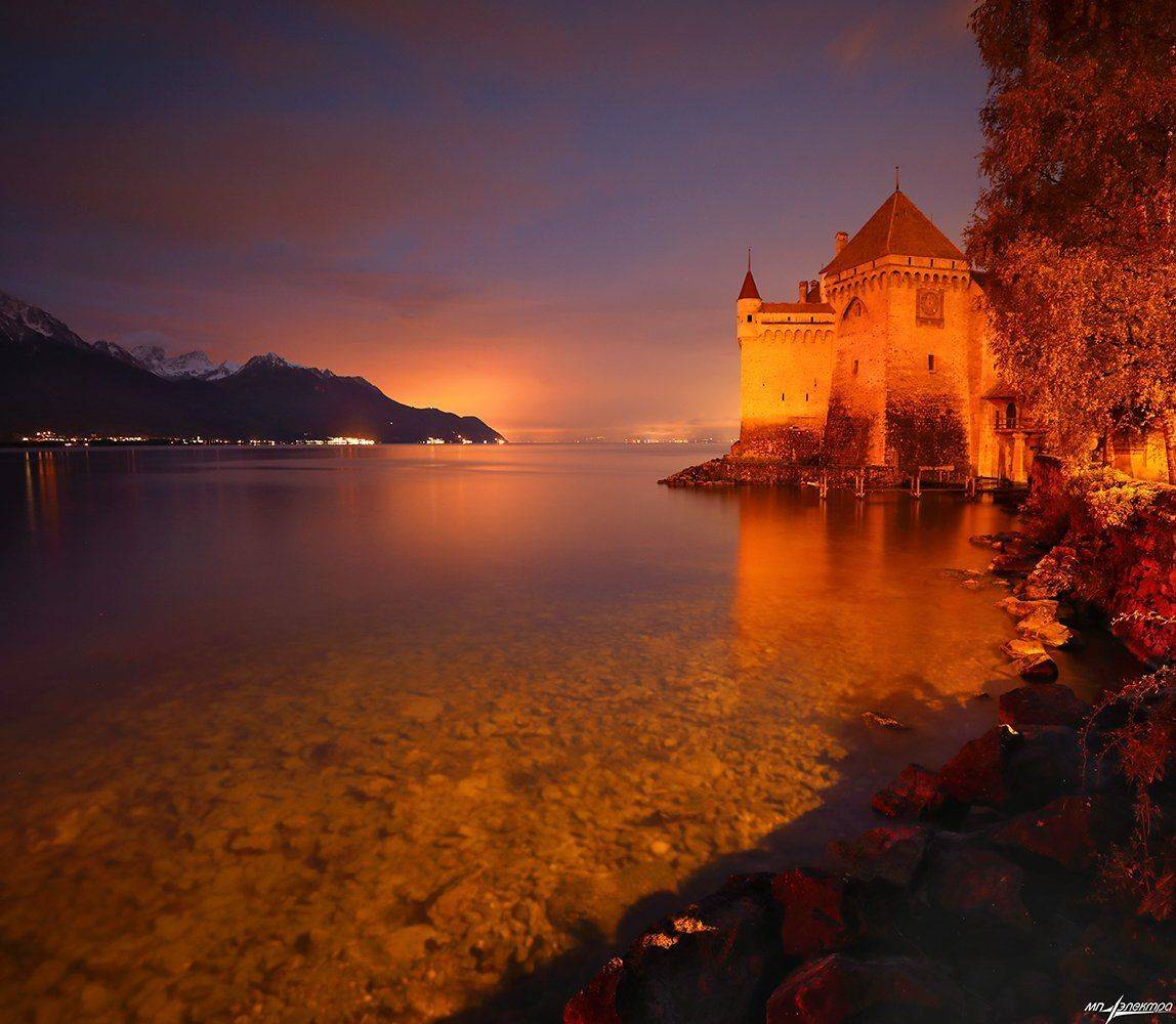 swiss, Матвеев Николай