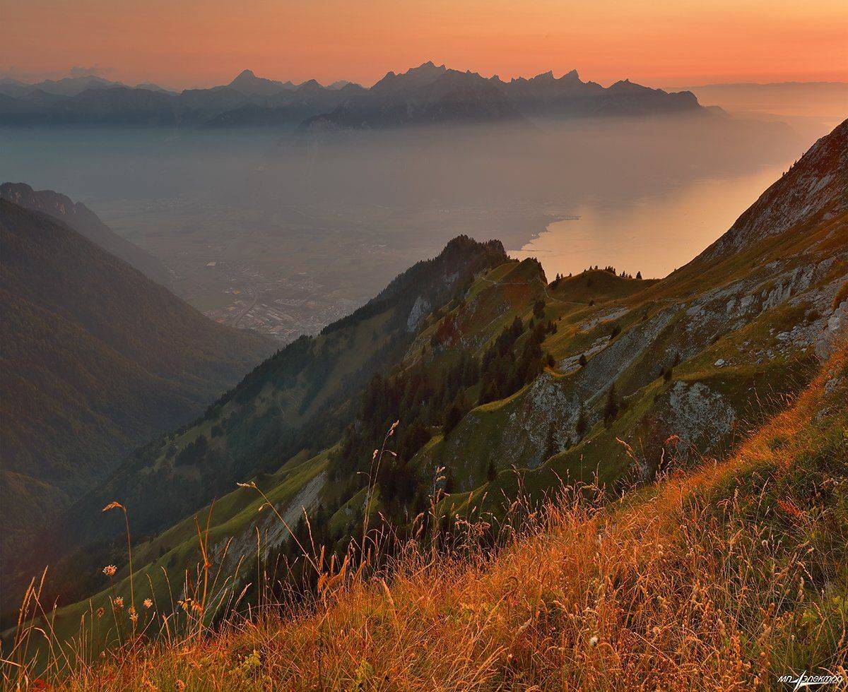 swiss, Матвеев Николай