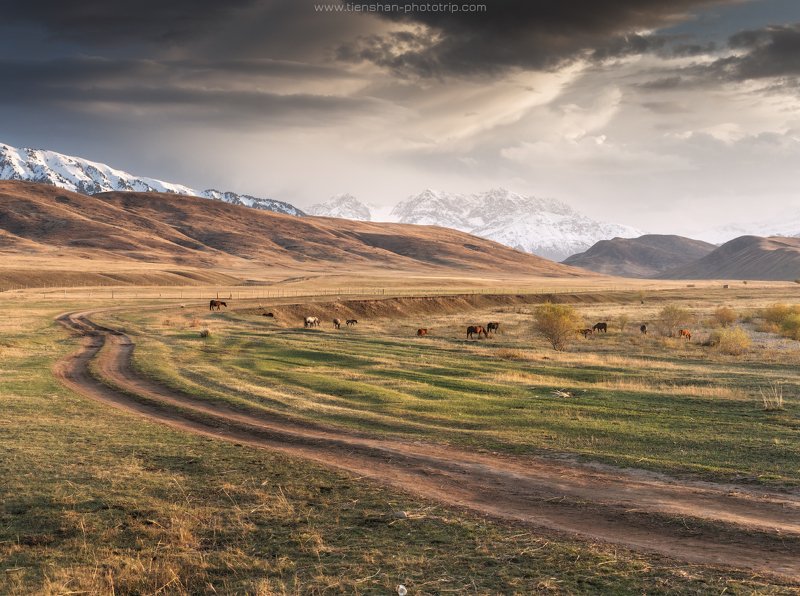 казахстан, тянь-шань, фото казахстана, пейзажи казахстана, осень, текес, Предместье реки Текес фото превью