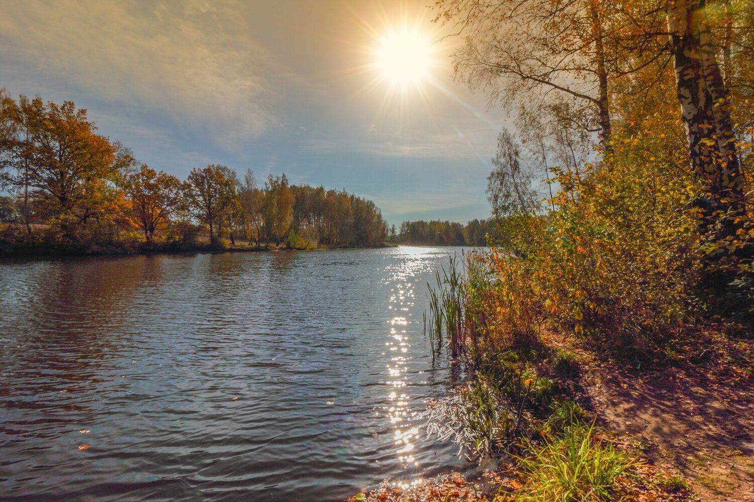 , Галина Горькавая