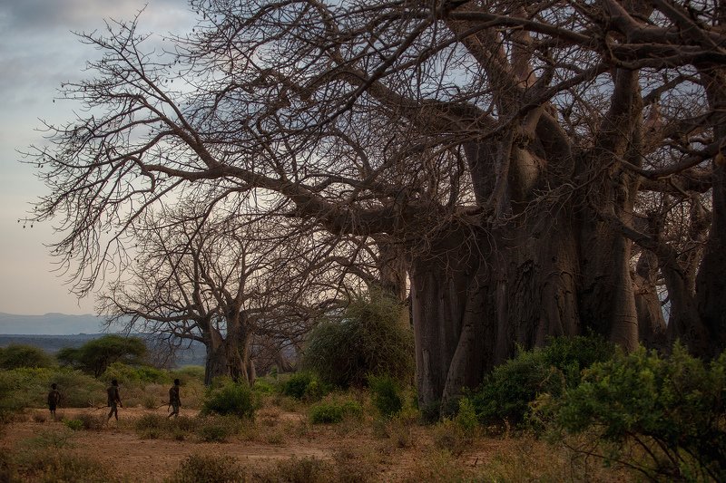 На охоту фото превью